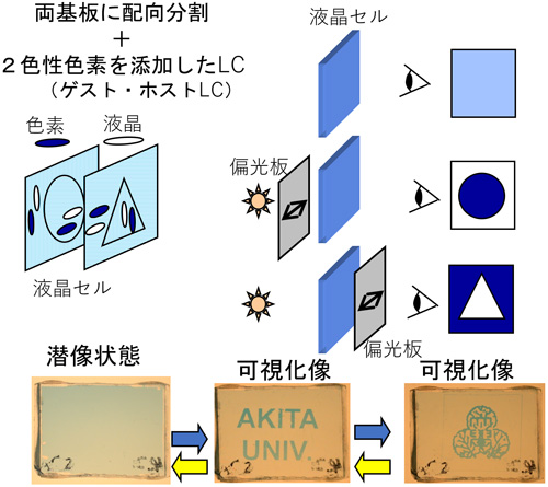 Fig.1